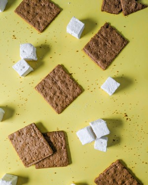 marshmallows and graham crackers for awesome smores by emily hanka